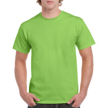 Gildan T-shirt Heavy Cotton SS for him - Topgiving