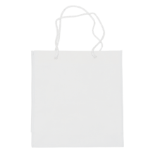 Non woven Shopping Bag - Topgiving