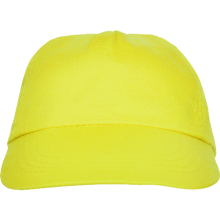 Cap 5 panel basic - Topgiving