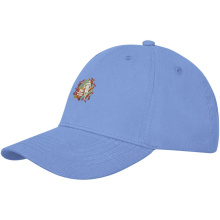 Davis 6 panel cap - Topgiving