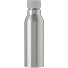 Aluminium fles (600 ml) Carlton - Topgiving