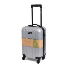 Norländer Cabin Size "Simply Green" Trolley RPET Zilver - Topgiving