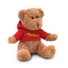 Teddybeer met sweatshirt - Topgiving