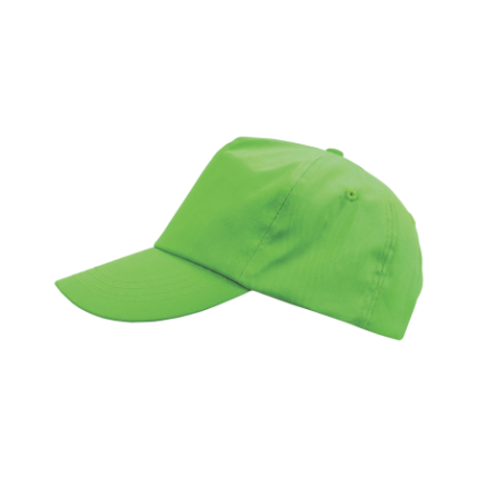 Cap 5 panel basic - Topgiving