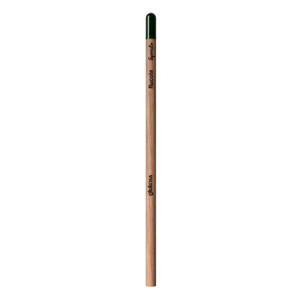 Sproutworld Unsharpened Pencil potlood - Topgiving