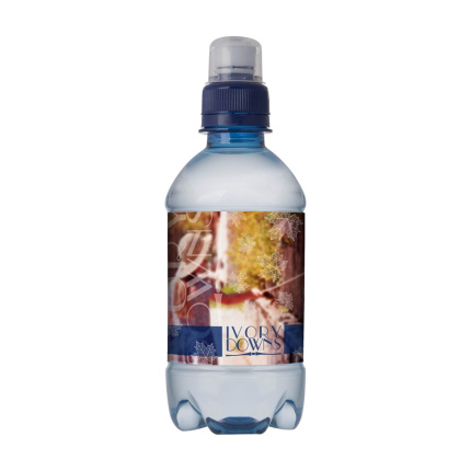 Bronwater 330 ml met sportdop - Topgiving