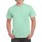 Gildan T-shirt Heavy Cotton SS for him - Topgiving