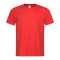 Stedman T-shirt Comfort-T SS for him - Topgiving