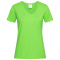 Stedman T-shirt V-Neck Classic-T SS for her - Topgiving