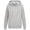 Stedman Sweater Hooded for her - Topgiving