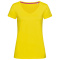 Stedman T-shirt V-neck Megan SS - Topgiving
