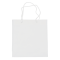 Non woven Shopping Bag - Topgiving