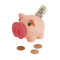 PiggyBank spaarpot - Topgiving