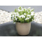 Vibers™ Flowerpot bloempot - Topgiving