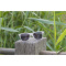 Wheatstraw Sunglasses tarwestro zonnebril - Topgiving