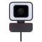 Hybrid webcam - Topgiving