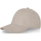 Davis 6 panel cap - Topgiving