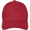 Davis 6 panel cap - Topgiving