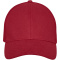 Drake 6 panel trucker-cap - Topgiving