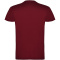 Beagle kindershirt met korte mouwen - Topgiving
