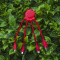 2087 | Xoopar Eco Octopus Oplaadkabel - Topgiving