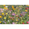 Mix bloemzaden schijf - Topgiving