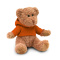 Teddybeer met sweatshirt - Topgiving