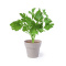 Bloempot set - Topgiving